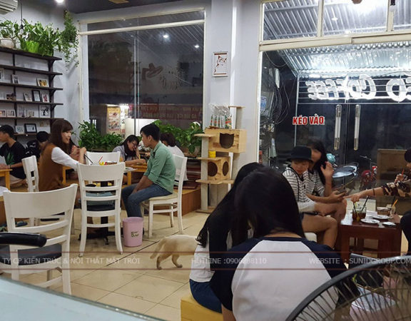 Thiết kế thi công quán cafe mèo tại Hà Nội